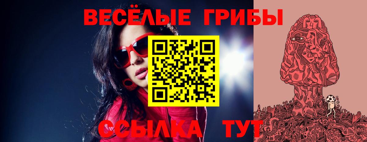 Галлюциногенные грибы Cubensis  Вход с VPN  Балабаново 