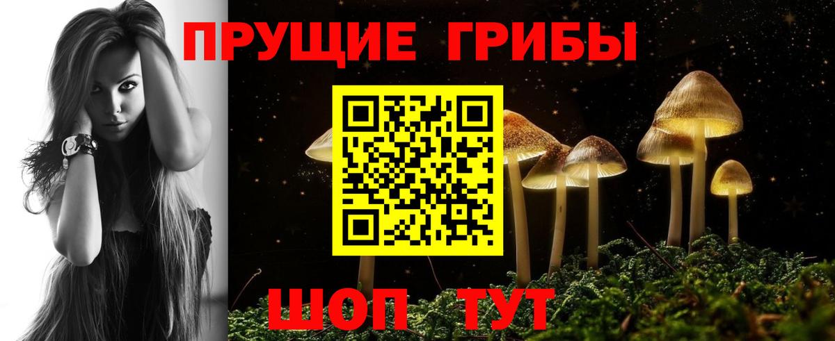 Псилоцибиновые грибы ЛСД Балабаново